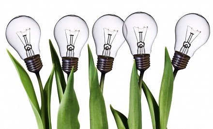 pensioni-novit-simulazioni-e-calcolo-requisiti-et-novit-riforma-pensioni-esecutivo-ministeri-istituto-previdenza-comitato